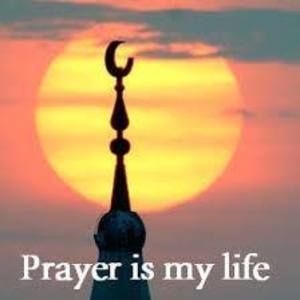 Meet your Posher, Suzan